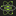 Cortex logo