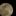 x64dbgMCP logo