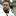 Slack Notification logo