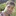 grep.app Code Search logo