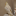 Fal.ai OpenAI Image logo