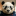 Panda Odoo logo