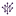 Maqui Analytics logo