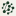 Myco Brain logo