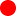 InvoiceBloom logo